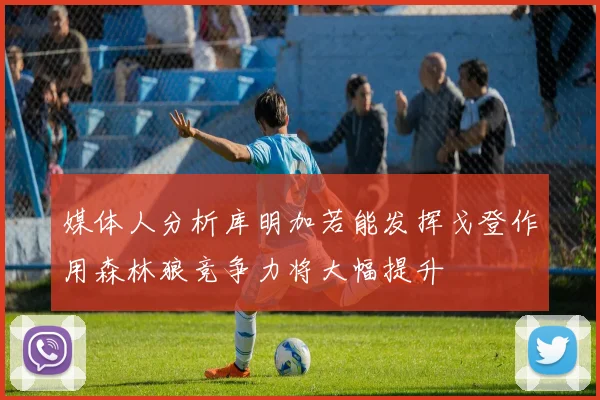 媒体人分析库明加若能发挥戈登作用森林狼竞争力将大幅提升