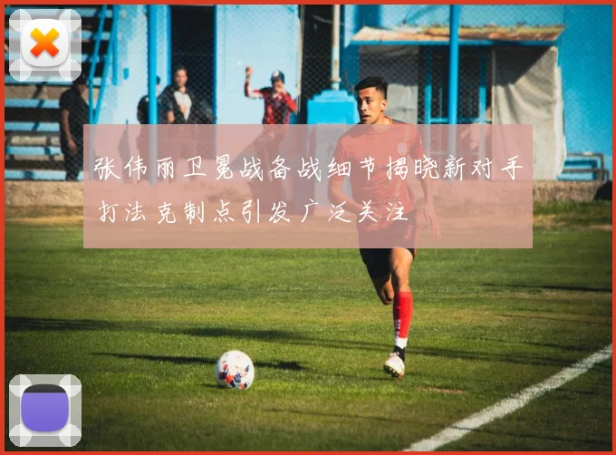 张伟丽卫冕战备战细节揭晓新对手打法克制点引发广泛关注